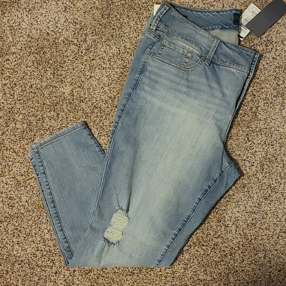 Torrid Premium Jeggings 22 R Distress
